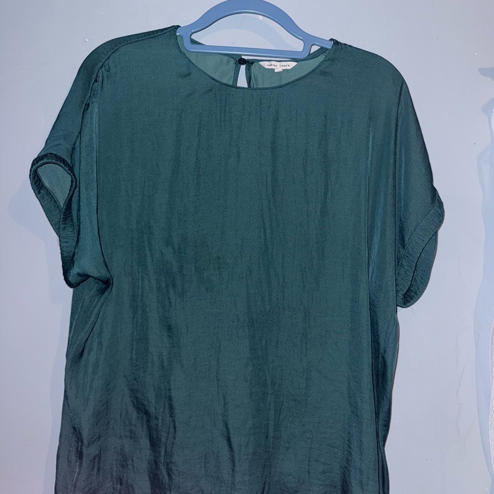 Naked Zebra Teal Blouse